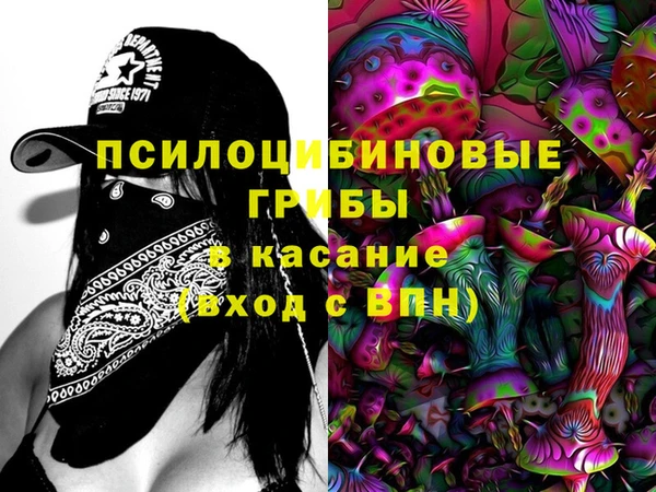 мяу мяу мука Кукмор