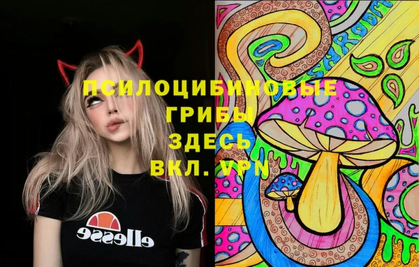 мяу мяу мука Кукмор