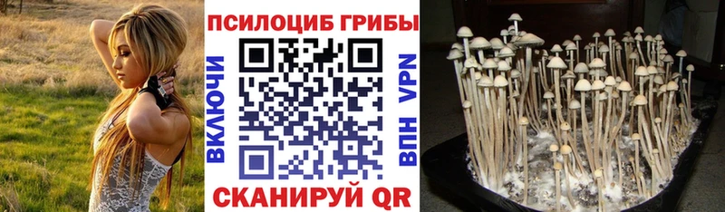 Псилоцибиновые грибы MAGIC MUSHROOMS  Белый 
